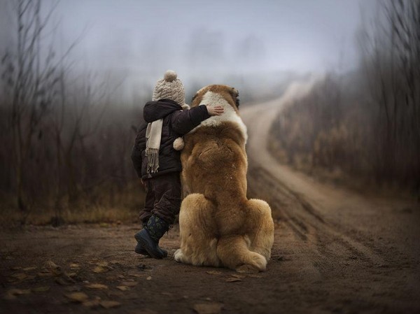 Bộ ảnh tuyệt vời này là của Elena Shumilova.